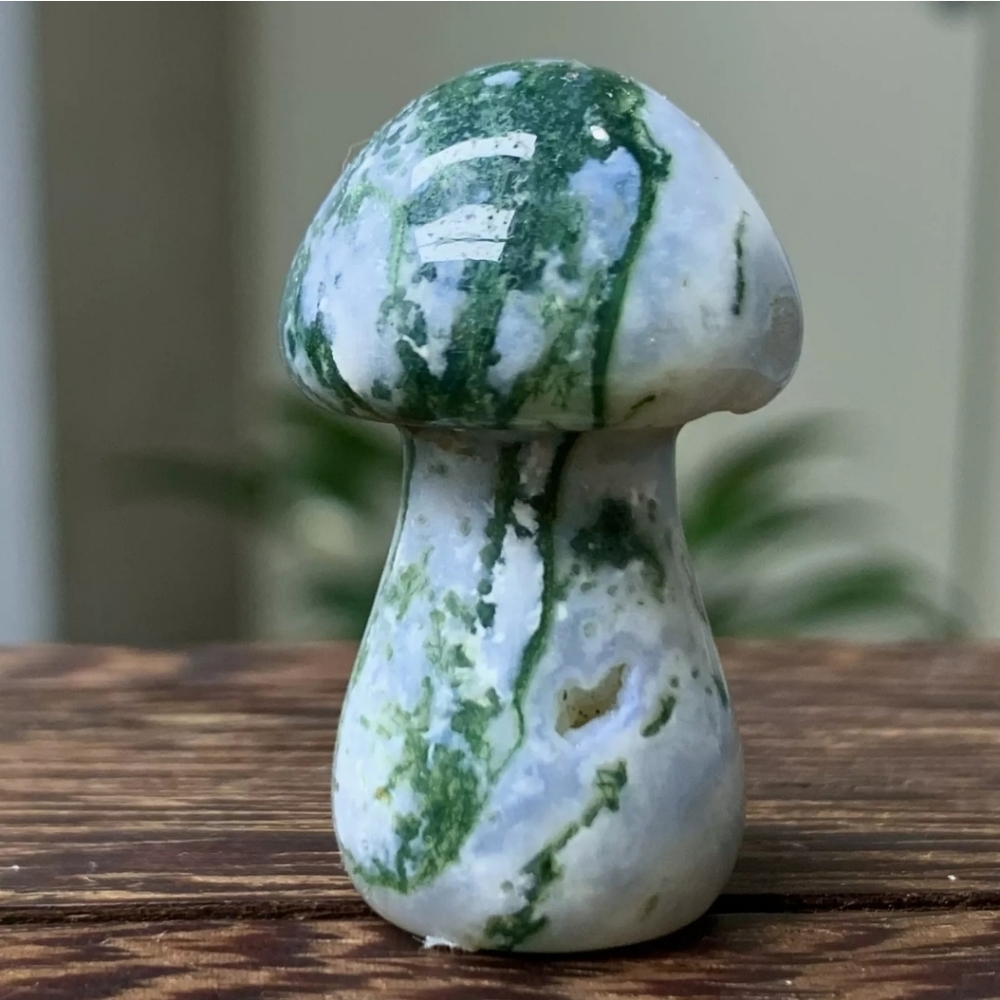 18G Natural Water Grass Agate Quartz Crystal Hand Carved Mushroom Healing
